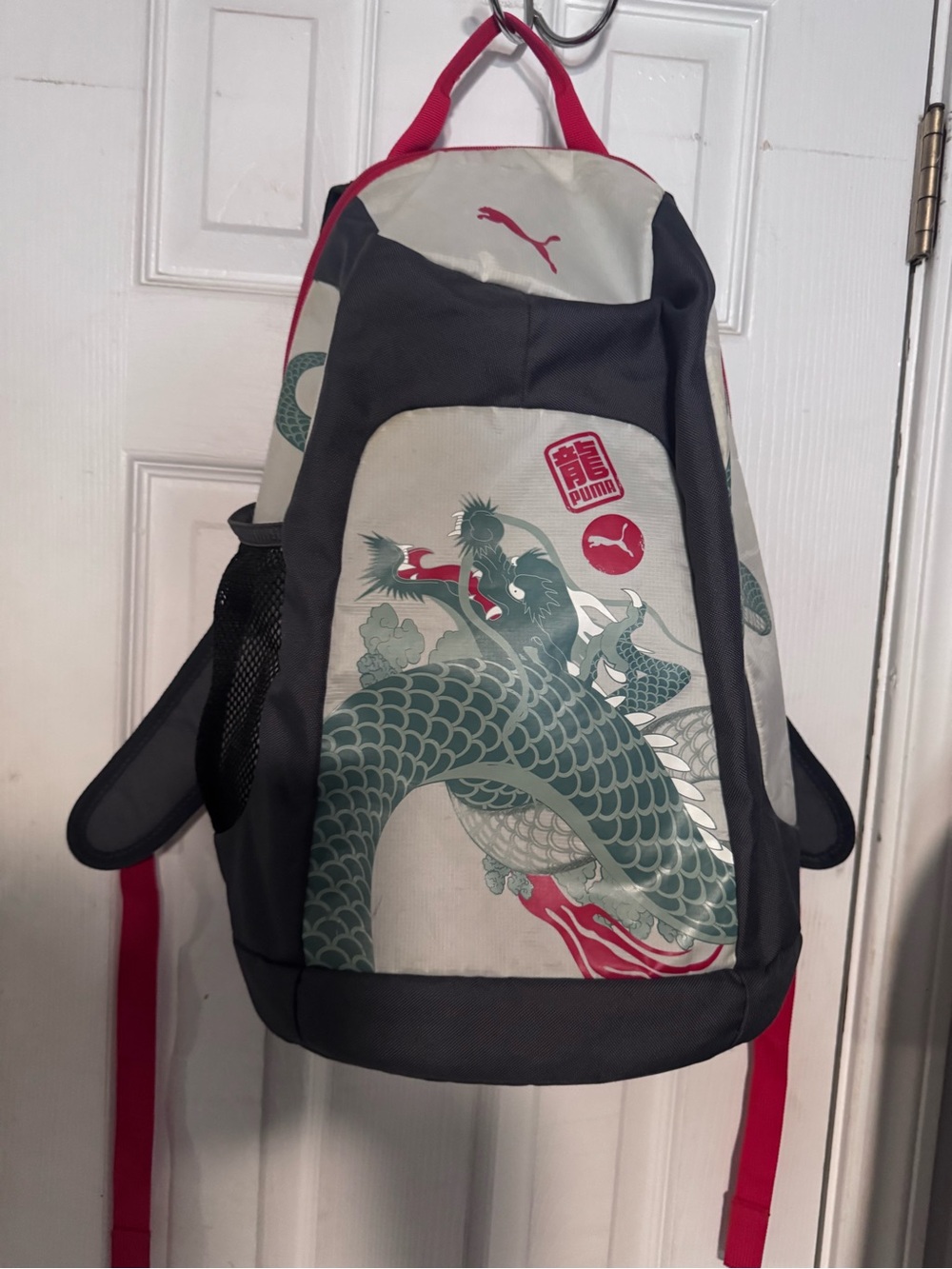 Puma Men’s Gray and red Dragon Graphic Backpack